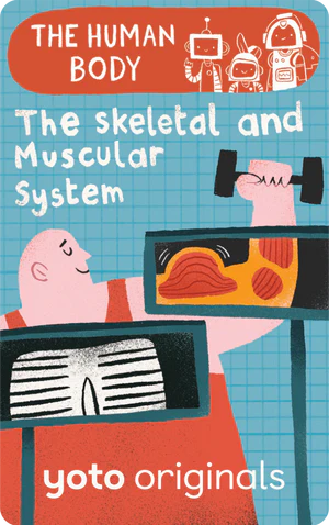 The Human Body: The Skeletal and Muscular Systems (Digital)